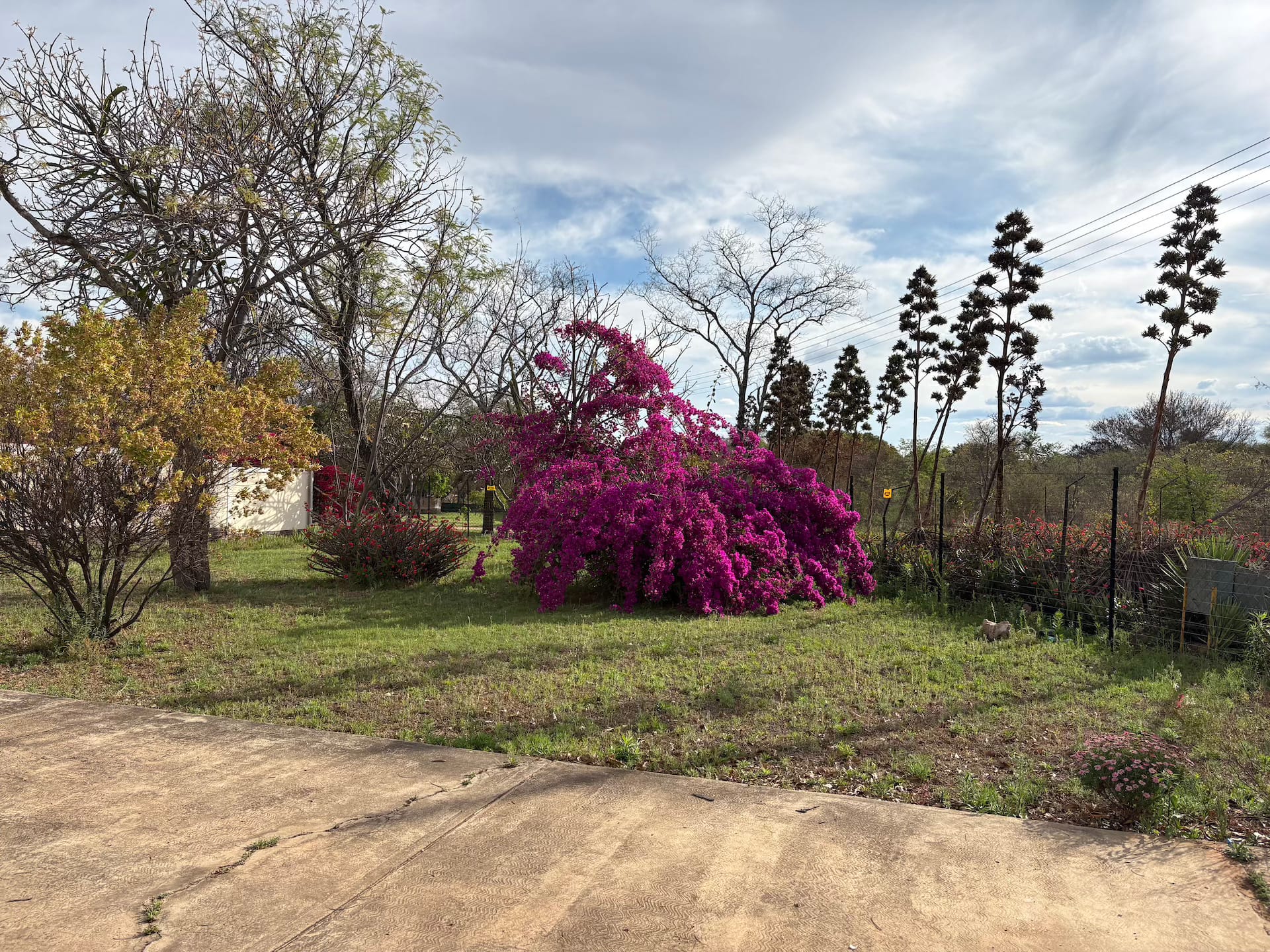 2 Bed House Property for Sale in Vaalwater, Vaalwater (Limpopo)