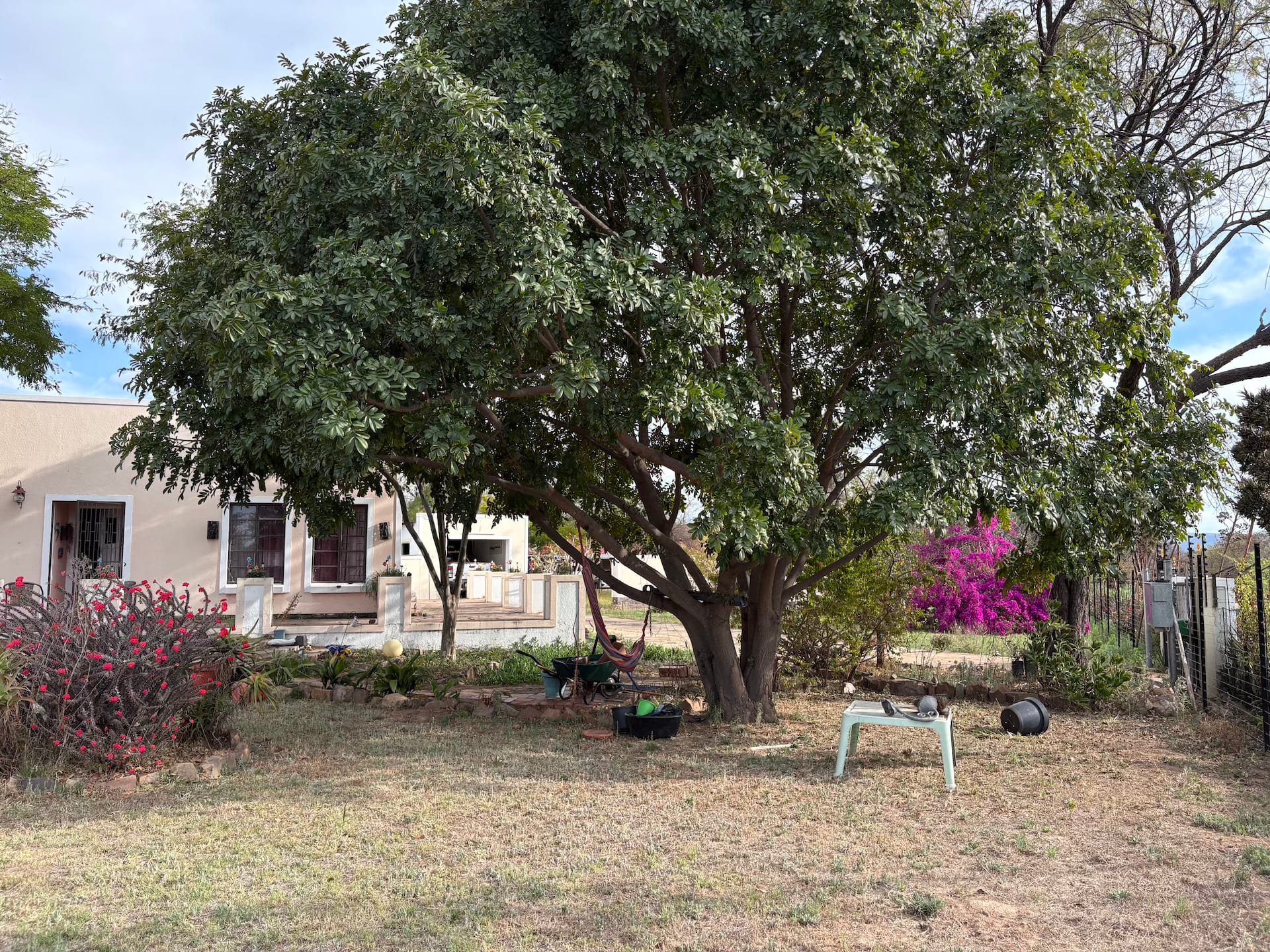 2 Bed House Property for Sale in Vaalwater, Vaalwater (Limpopo)